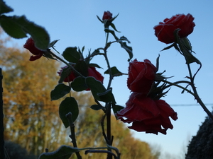 DSC02034