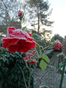 DSC02037