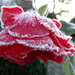 DSC02038