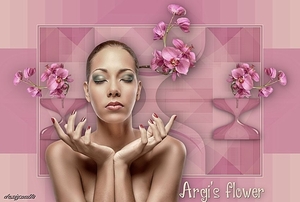 Les Yvonne  Argi's flower