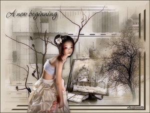 Les Kitty  A new beginning