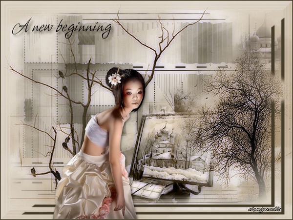 Les Kitty  A new beginning
