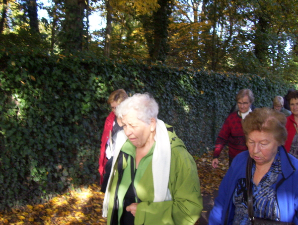 Fietsostrade wandeling - 26 oktober 2015