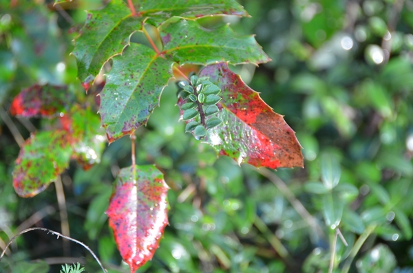 001  TUSSEN IN......