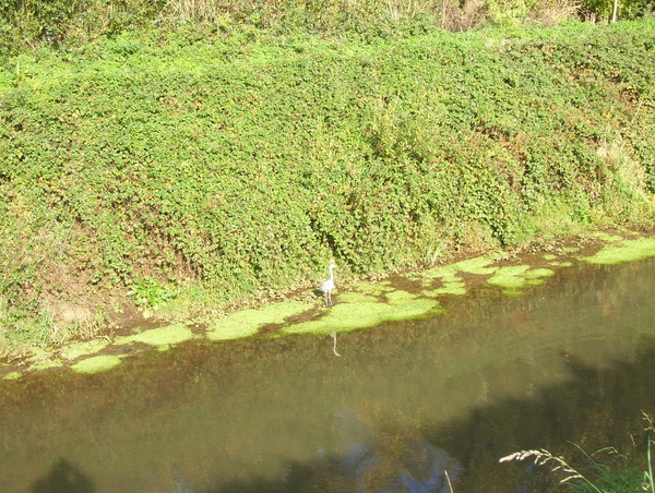 Wandeling langs natuurpunt - 29 oktober 2015