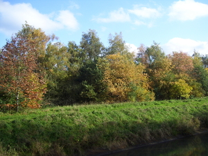 Wandeling langs natuurpunt - 29 oktober 2015