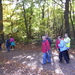 Wandeling langs natuurpunt - 29 oktober 2015