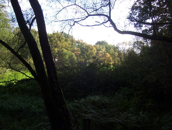 Wandeling langs natuurpunt - 29 oktober 2015