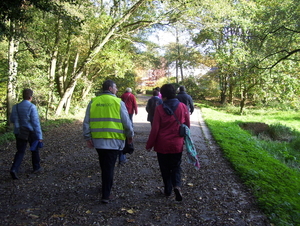 Wandeling langs natuurpunt - 29 oktober 2015