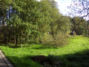 Wandeling langs natuurpunt - 29 oktober 2015