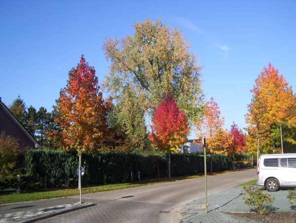 Wandeling langs natuurpunt - 29 oktober 2015