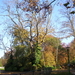 Wandeling naar de botanique - 2 november 2015