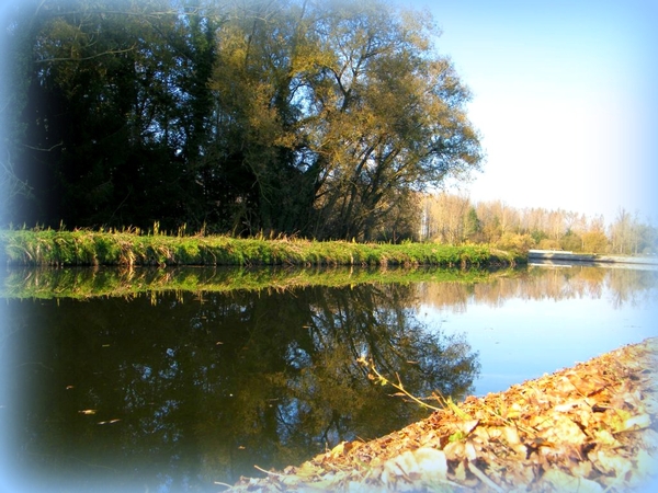 Dender Liedekerke