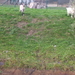 Wandeling naar Tivoli - 5 november 2015