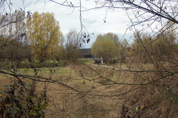 15-