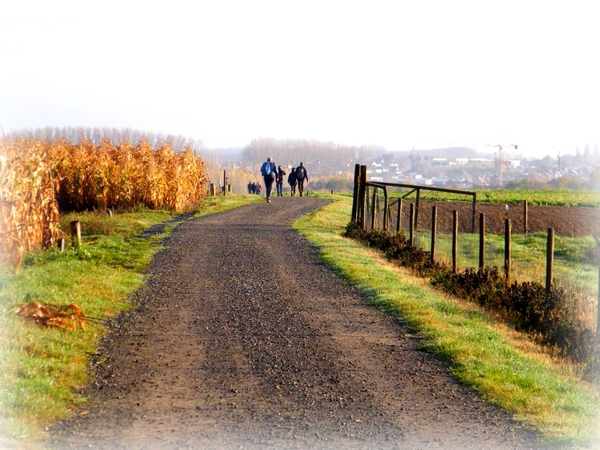 land van rhode pannenkoekenwandeling balegem