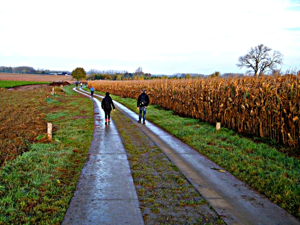 land van rhode pannenkoekenwandeling balegem