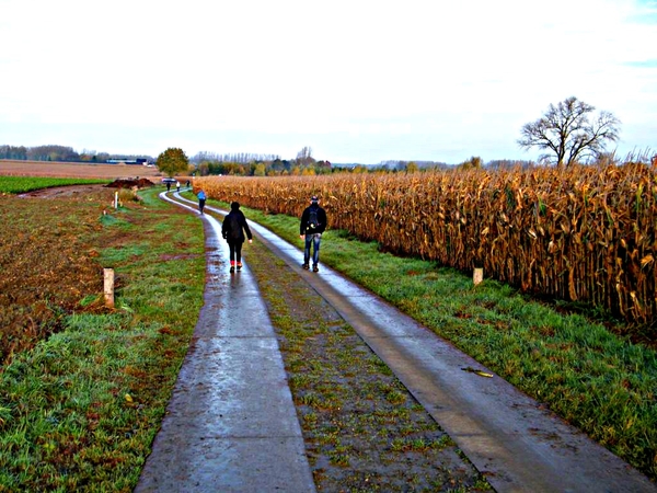 land van rhode pannenkoekenwandeling balegem