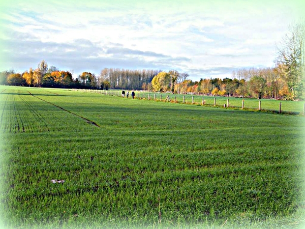 land van rhode pannenkoekenwandeling balegem