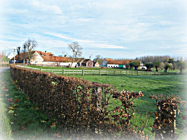 land van rhode pannenkoekenwandeling balegem