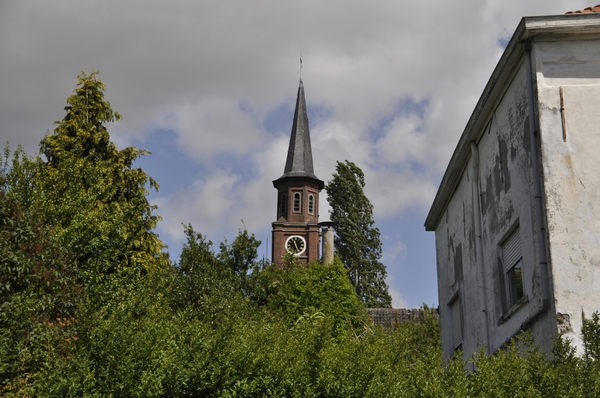_DSC0365