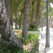 BENIDORM 076