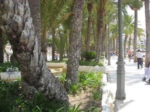 BENIDORM 076