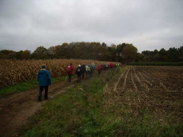 2015-11-11 KKT Vorselaar_0049