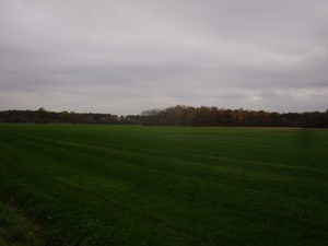 2015-11-11 KKT Vorselaar_0055