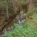 2015-11-11 KKT Vorselaar_0059