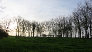vervaet  15