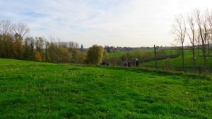 vervaet 13