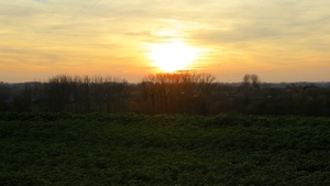 vervaet 8