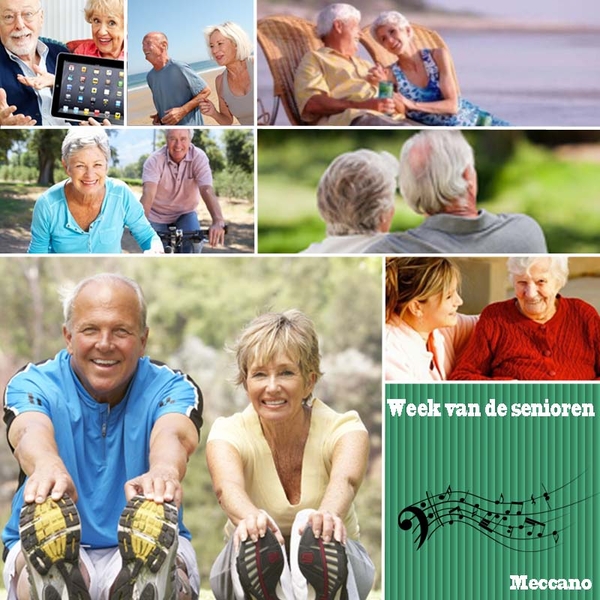 meccano project 14.1