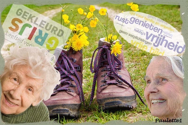 Paulette1 project 14.1