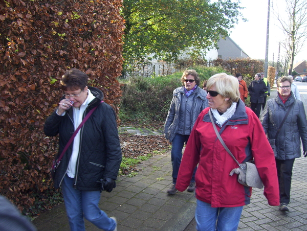 Criteriumlus wandeling - 26 november 2015