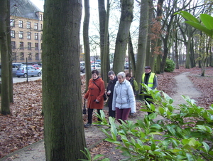 Criteriumlus wandeling - 26 november 2015