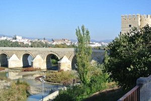 Cordoba (3)