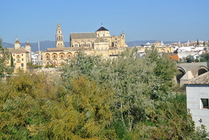 Cordoba (2)