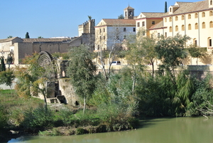 Cordoba (5)