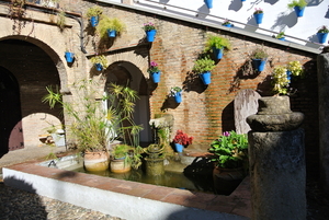 Cordoba (10)