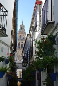 Cordoba (15)