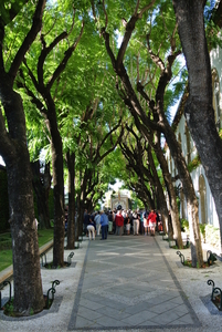 Osborne El Puerto Santa Maria (2)