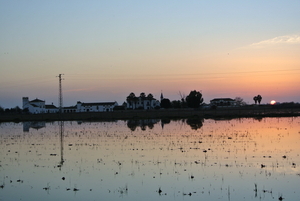 Haciens van Isla Minima