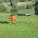 Natuurpark la Dehesa de Abajo