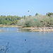 Natuurpark    vogels