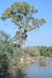 Natuurpark   vogels (2)