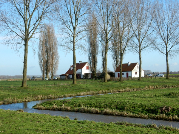 17-