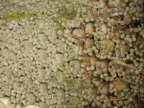 DSCN5688 Ossuarium 02