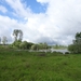 DSC04136